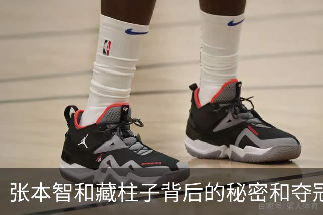 张本智和藏柱子背后的秘密和夺冠的欢呼