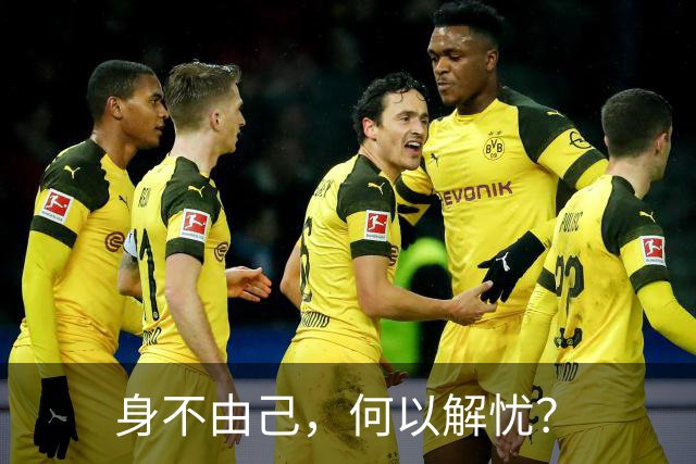 身不由己，何以解忧？